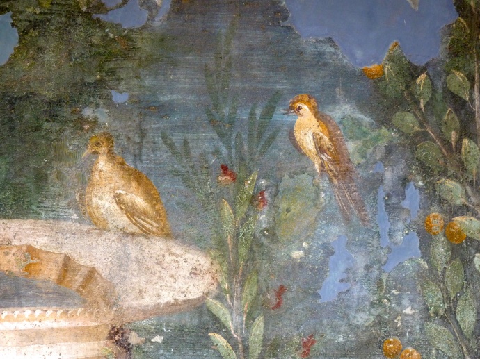 Casa Della Venere in Conchiglia 21