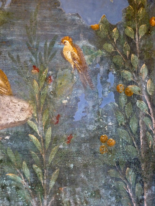 Casa Della Venere in Conchiglia 29