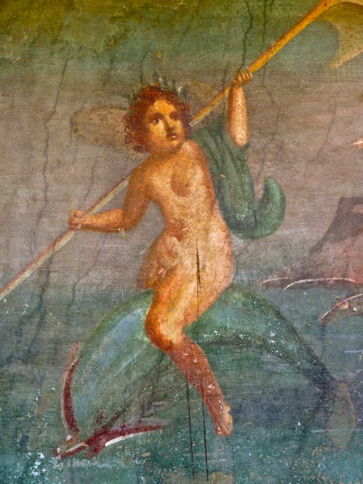 Casa Della Venere in Conchiglia 31