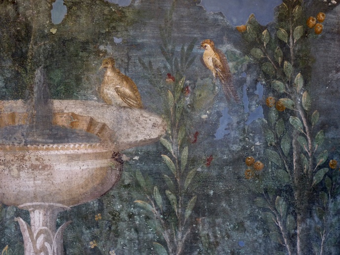 Casa Della Venere in Conchiglia 9