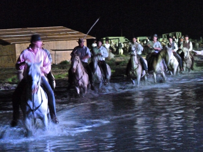 Gardians de Taureaux & du Cheveaux Camargue 2