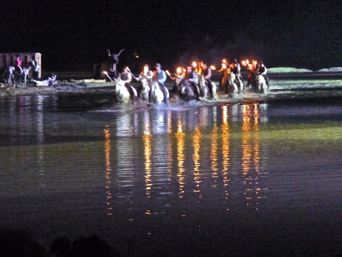 Gardians de Taureaux & du Cheveaux Camargue 3