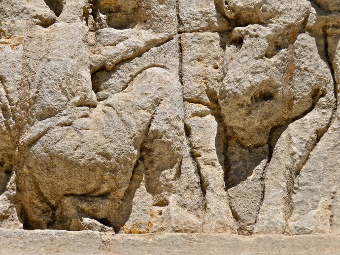 Hunt of Calydonian Boar 6