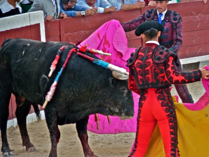 Manolo Manzanares\\\' Bull 2