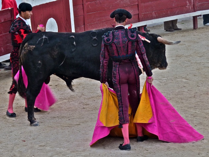 Manolo Manzanares\\\' Bull 3