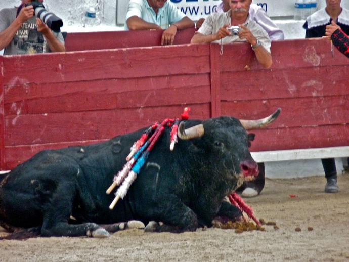 Manolo Manzanares\\\' Bull Falls