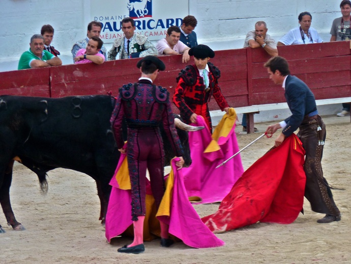 Manolo Manzanares\\\' Bull Refusing to Die 10