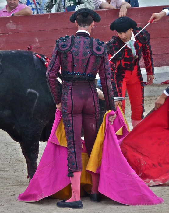 Manolo Manzanares\\\' Bull Refusing to Die 11