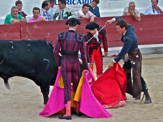 Manolo Manzanares\\\' Bull Refusing to Die 12