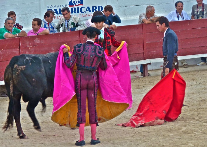 Manolo Manzanares\\\' Bull Refusing to Die 13