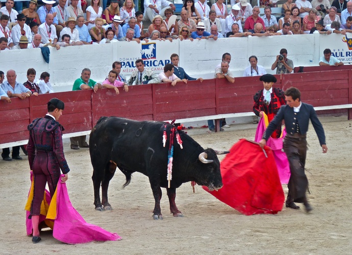 Manolo Manzanares\\\' Bull Refusing to Die 2