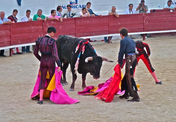 Manolo Manzanares\\\' Bull Refusing to Die 4