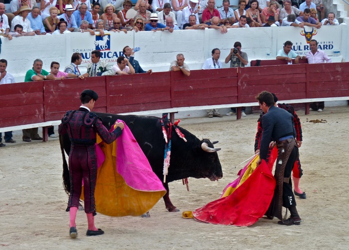 Manolo Manzanares\\\' Bull Refusing to Die 6