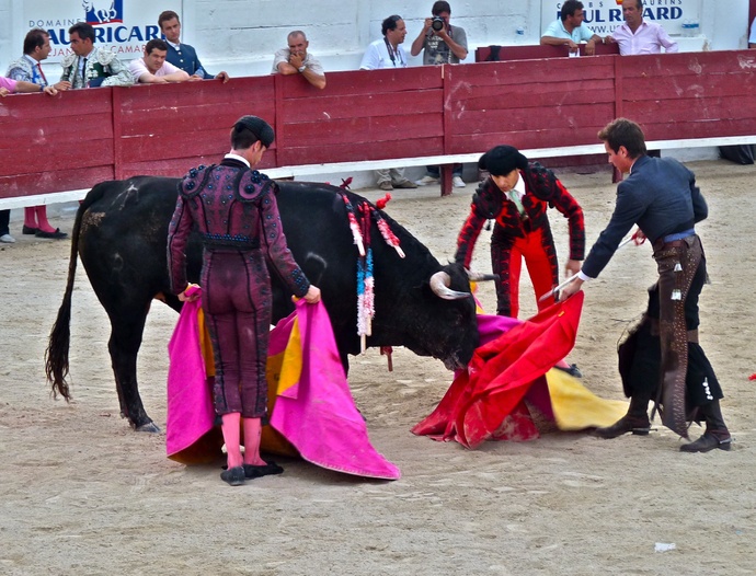 Manolo Manzanares\\\' Bull Refusing to Die 7