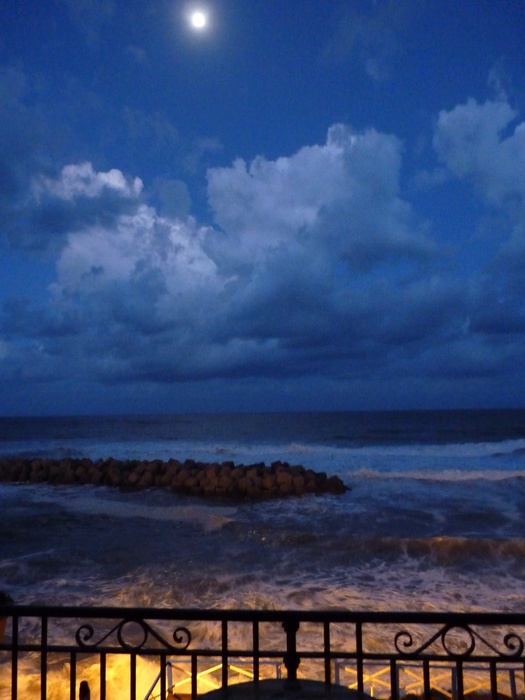 Morning Moon s Maria Castellabate 2