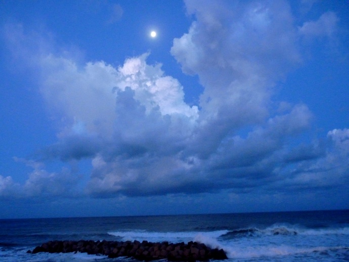 Morning Moon s Maria Castellabate 4