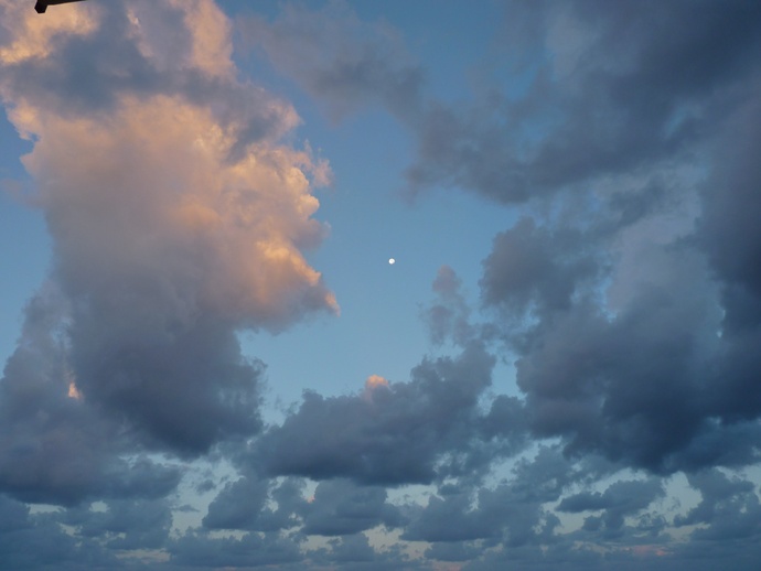 Morning Moon s Maria Castellabate 5