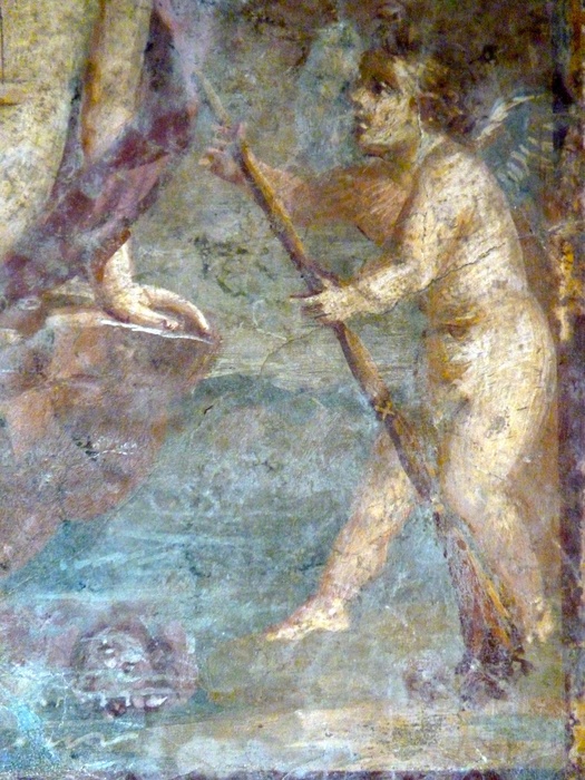 Narcissus (hall Lxviii) 3