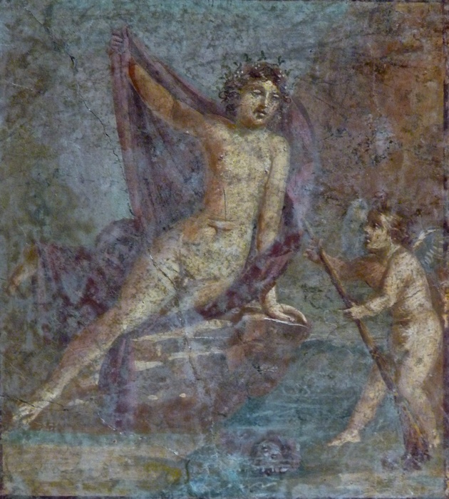 Narcissus (hall Lxviii) 5
