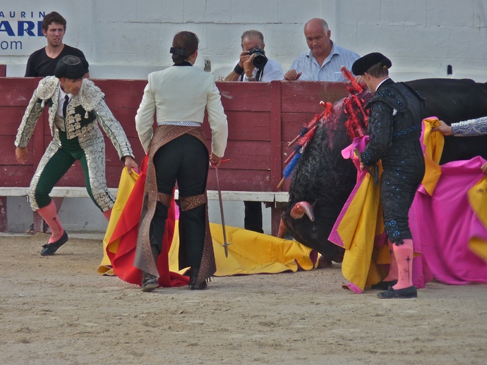 Noelia Mota\\\'s Bull Dying 10