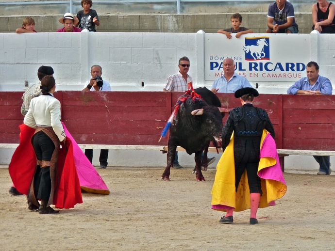 Noelia Mota\\\'s Bull Dying 2
