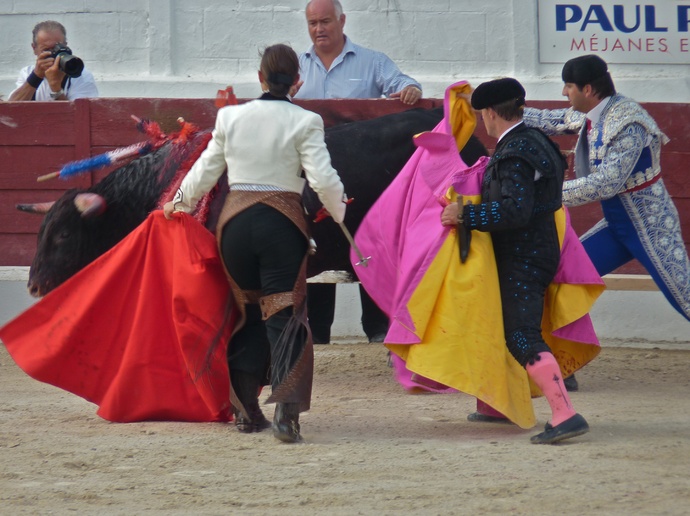 Noelia Mota\\\'s Bull Dying 3