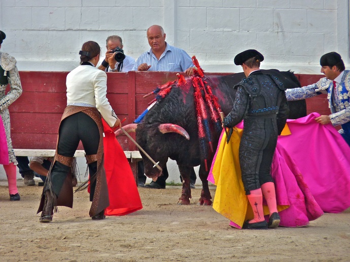 Noelia Mota\\\'s Bull Dying 4
