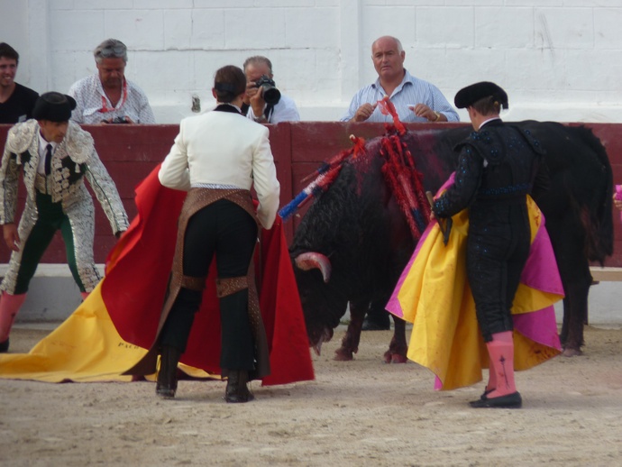 Noelia Mota\\\'s Bull Dying 7