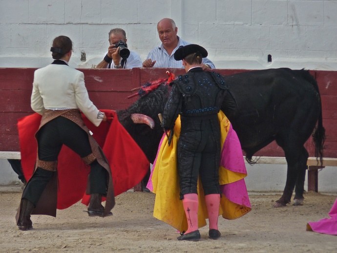 Noelia Mota\\\'s Bull Dying 8