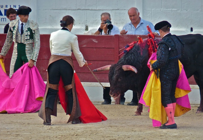 Noelia Mota\\\'s Bull Dying 9