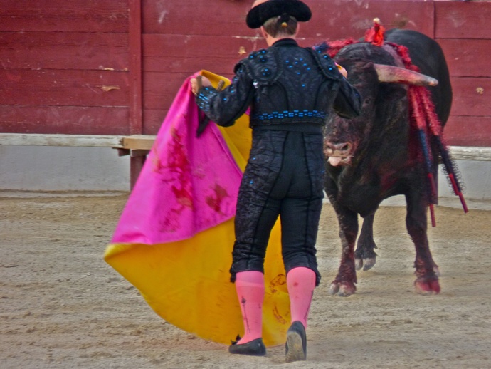 Noelia Mota\\\'s Bull Dying