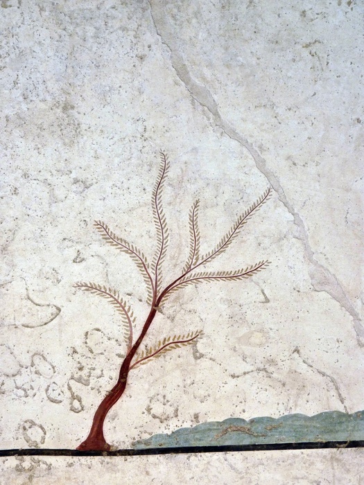 Olive Tree with Seven Branches (detail Roof Slab)