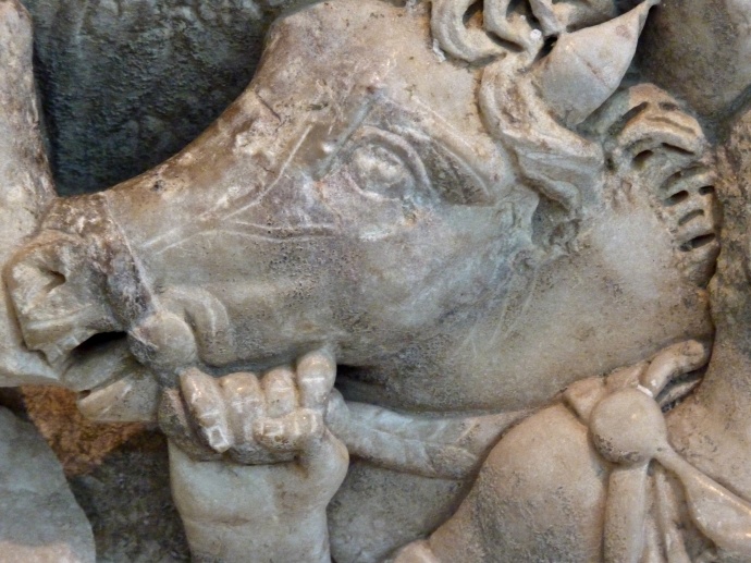 Phaedra & Hippolytus 40