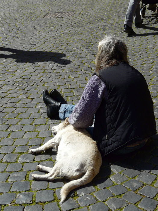Piazza Santa Maria in Trastevere 14