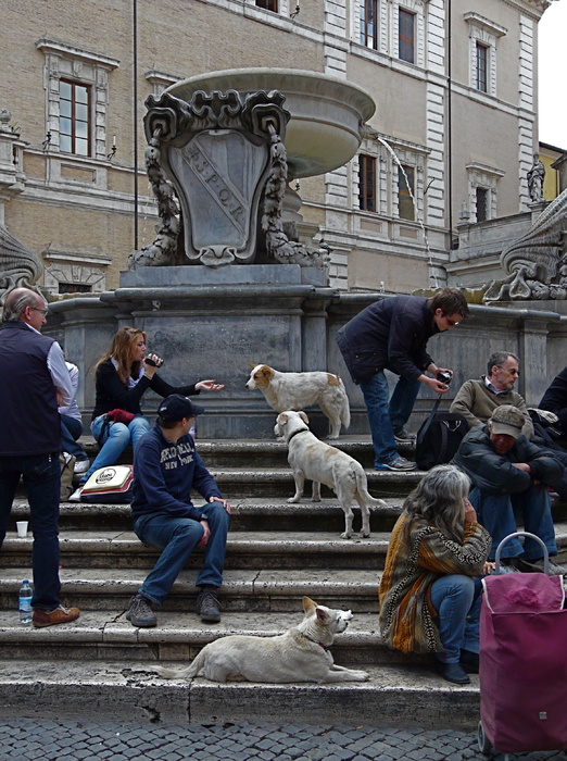 Piazza Santa Maria in Trastevere 3