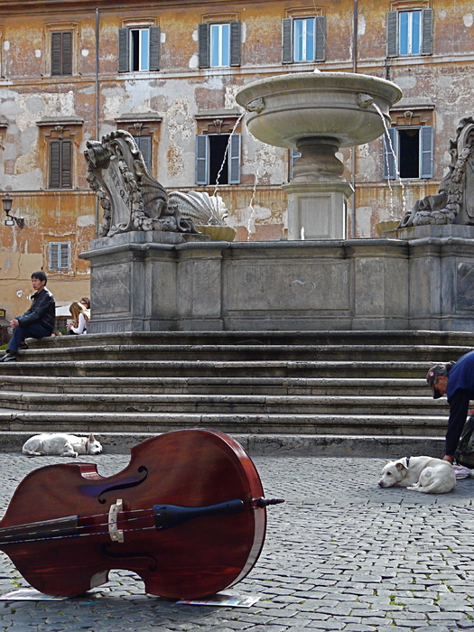 Piazza Santa Maria in Trastevere 7
