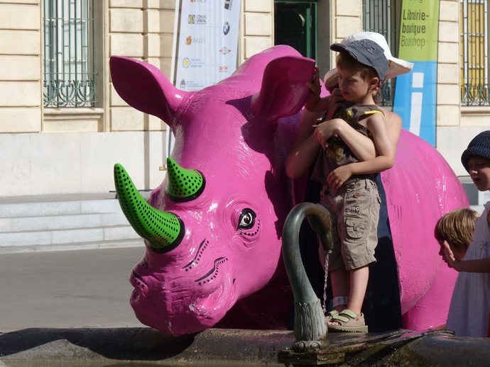 Pink Rhino Arles 1