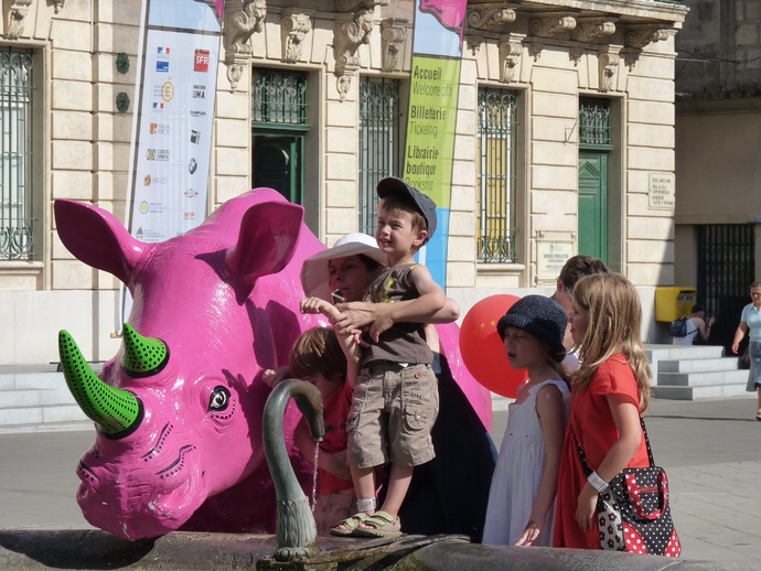 Pink Rhino Arles 4