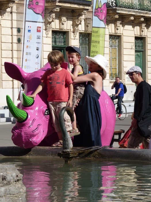 Pink Rhino Arles 6