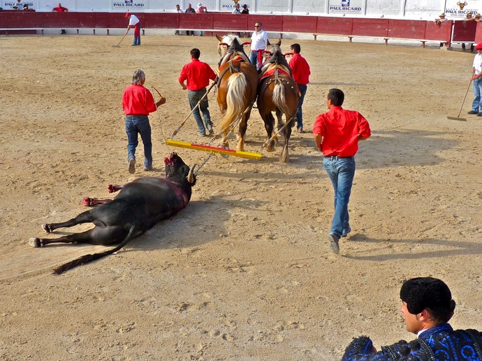 Raul Martin Burgos\\\' Bull Dead 3