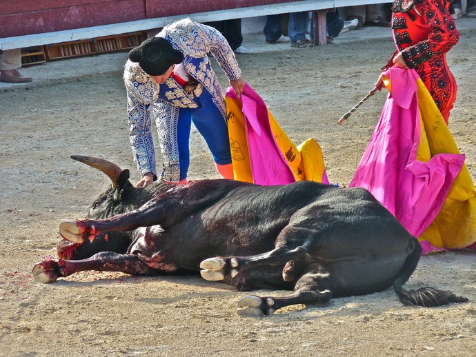 Raul Martin Burgos\\\' Bull Dying 3