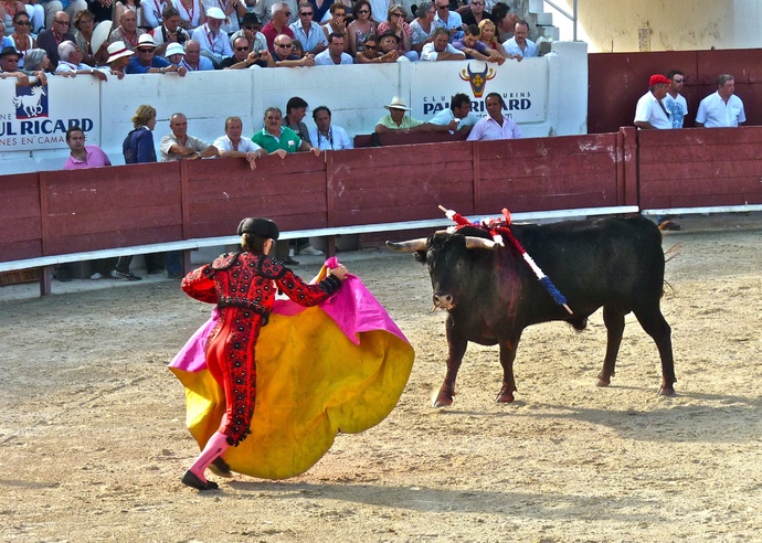 Raul Martin Burgos\\\' Bull Dying 4