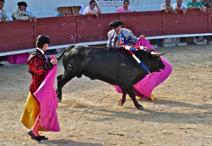 Raul Martin Burgos\\\' Bull Dying 5