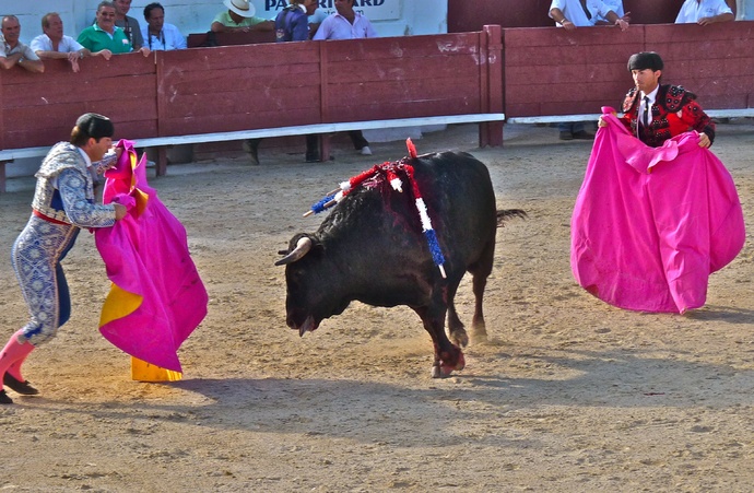 Raul Martin Burgos\\\' Bull Dying