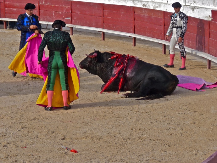 Rui Fernandes\\\' Bull Dying 10