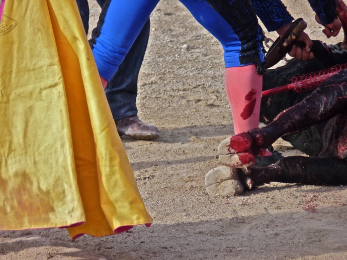 Rui Fernandes\\\' Bull Dying 12