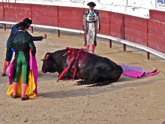 Rui Fernandes\\\' Bull Dying 2