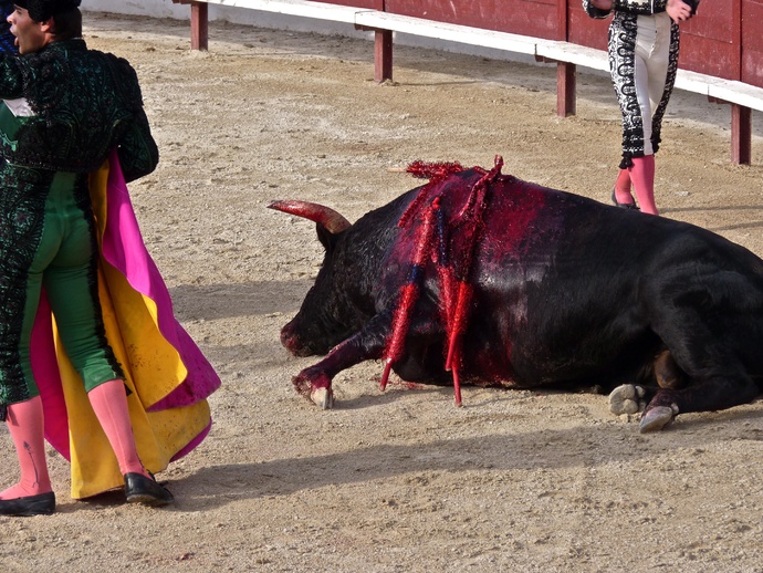 Rui Fernandes\\\' Bull Dying 3