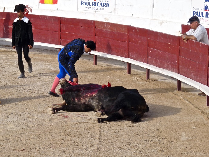 Rui Fernandes\\\' Bull Dying 5