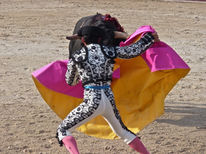 Rui Fernandes\\\' Bull Dying 7